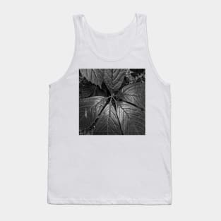 Black and White Big Leaves Tank Top